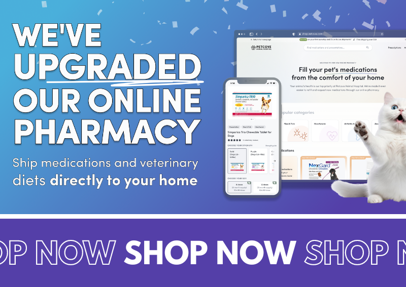 Carousel Slide 3: Check out our online pharmacy!
