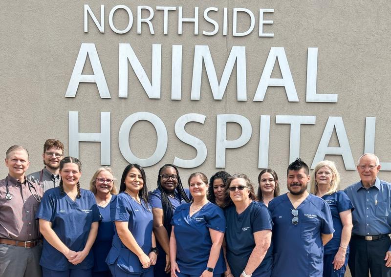 Carousel Slide 2: Team Veterinary Care, Northside